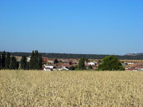 Imagen de Torreadrada mapa 40313 4 