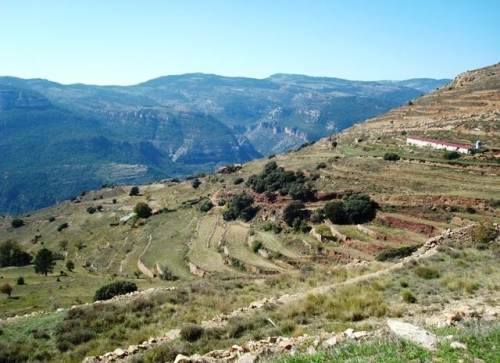 Imagen de Torrechiva mapa 12232 4 