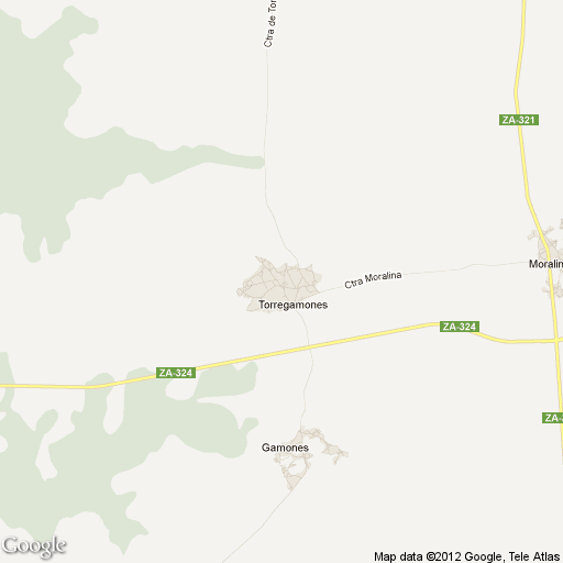 Imagen de Torregamones mapa 49252 1 