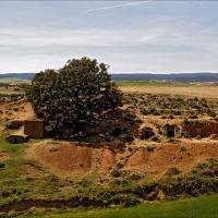 Imagen de Torrehermosa mapa 42269 4 