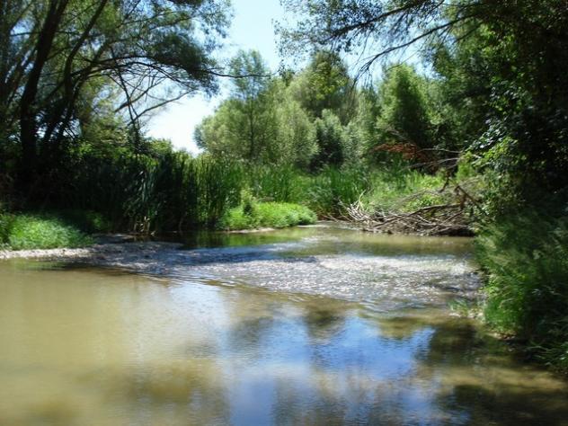 Imagen de Torres de Barbués mapa 22255 3 