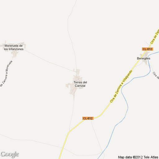 Imagen de Torres del Carrizal mapa 49122 1 