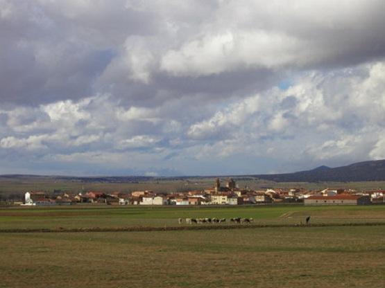 Imagen de Torrijo del Campo mapa 44393 4 