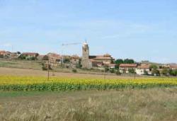 Imagen de Torrubia mapa 19337 4 