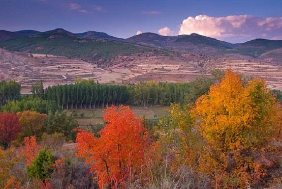 Imagen de Tramacastilla mapa 44112 6 