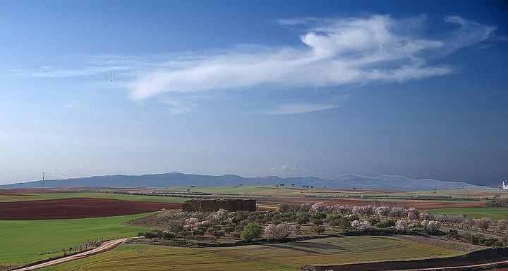 Imagen de Tresjuncos mapa 16422 5 
