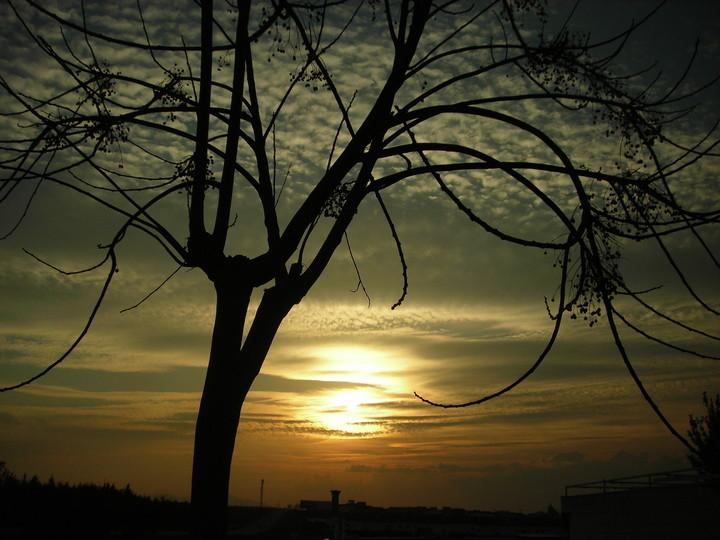 Imagen de Trujillanos mapa 06892 6 