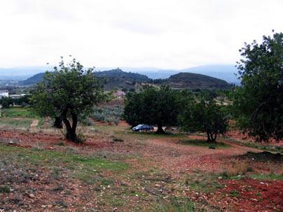 Imagen de Turís mapa 46389 5 