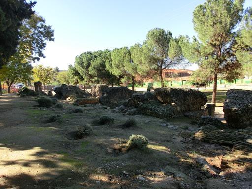 Imagen de Turleque mapa 45789 5 