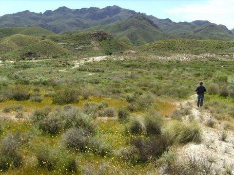 Imagen de Turre mapa 04639 6 