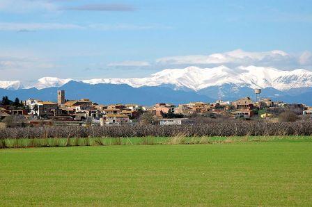 Imagen de Ultramort mapa 17133 3 