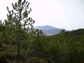 Imagen de Unciti mapa 31422 6 