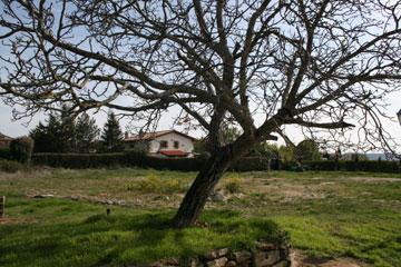 Imagen de Uterga mapa 31133 6 