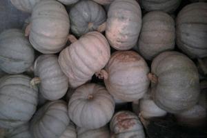 Imagen de Valbona mapa 44430 6 