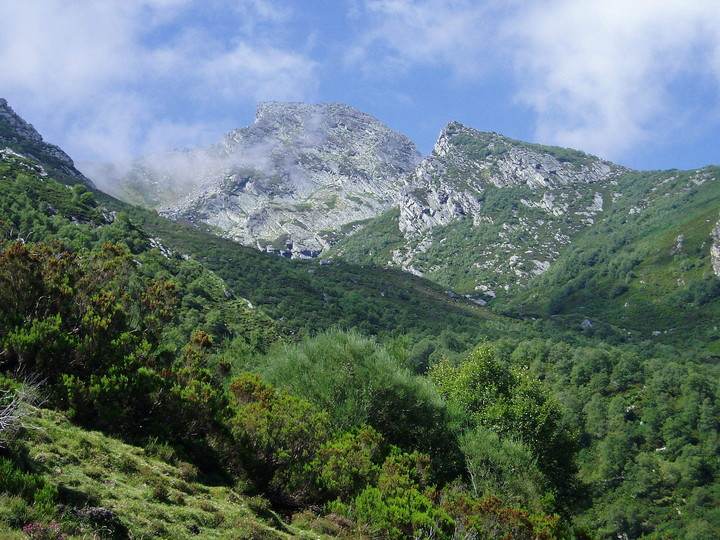 Imagen de Valdáliga mapa 39593 4 