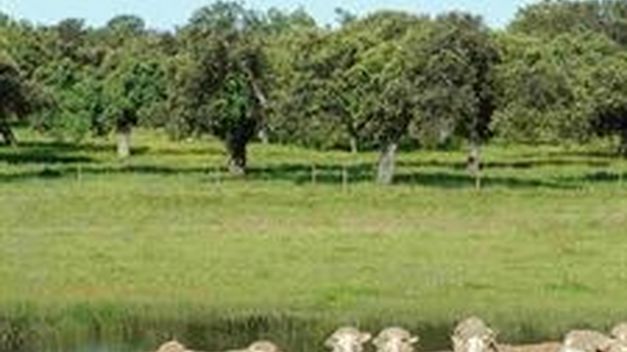 Imagen de Valdefuentes mapa 10180 2 