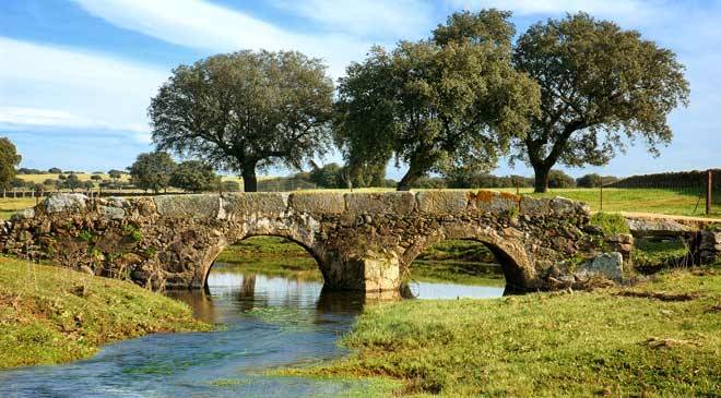 Imagen de Valdefuentes mapa 10180 6 