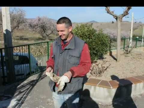 Imagen de Valdehorna mapa 50371 4 