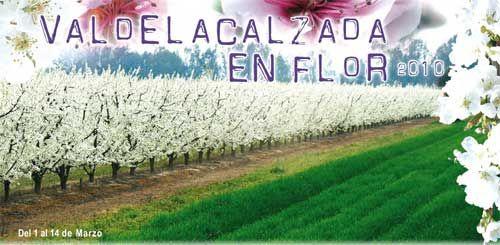 Imagen de Valdelacalzada mapa 06185 6 