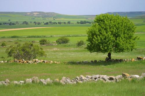 Imagen de Valdenebro de los Valles mapa 47816 4 