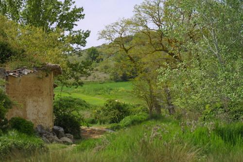 Imagen de Valdenebro de los Valles mapa 47816 5 