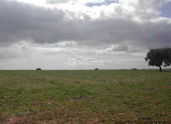 Imagen de Valdenuño Fernández mapa 19185 3 