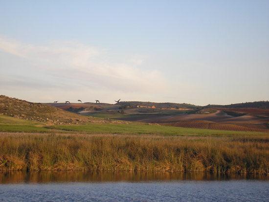 Imagen de Valdetórtola mapa 16122 6 