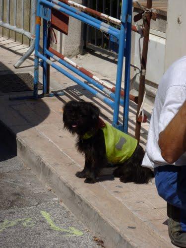 Imagen de Vallauris mapa 06220 4 