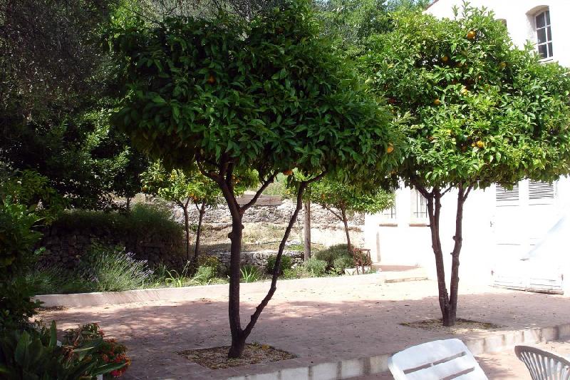 Imagen de Vallauris mapa 06220 6 