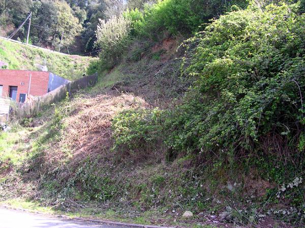 Imagen de Vallgorguina mapa 08471 5 