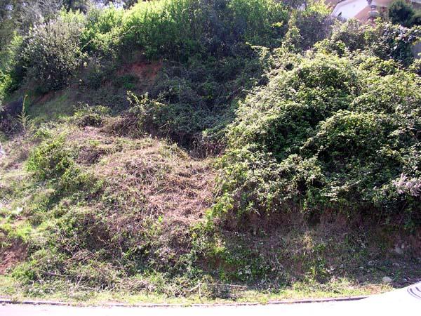 Imagen de Vallgorguina mapa 08471 6 