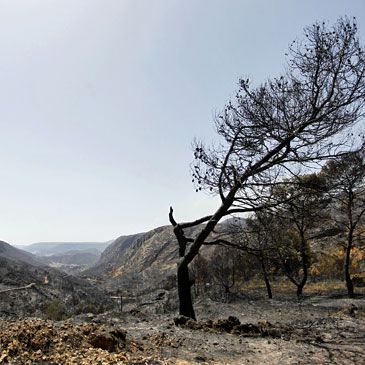 Imagen de Valpalmas mapa 50615 2 