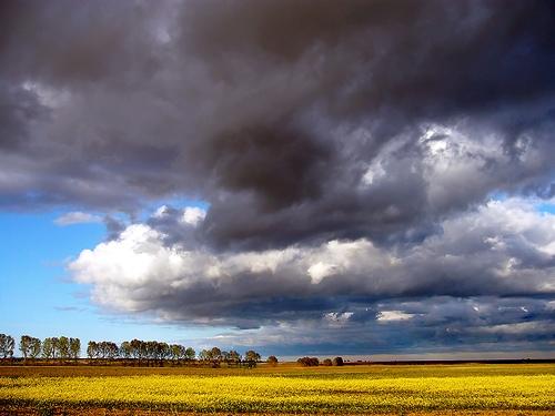 Imagen de Valverde-Enrique mapa 24292 2 