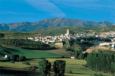 Imagen de Vegas del Genil mapa 18102 5 