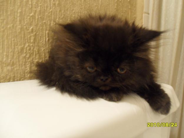 Imagen de Veracruz mapa 22484 4 