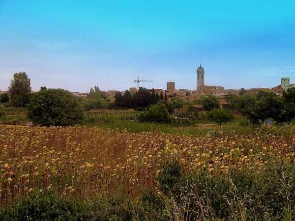 Imagen de Verges mapa 17142 5 