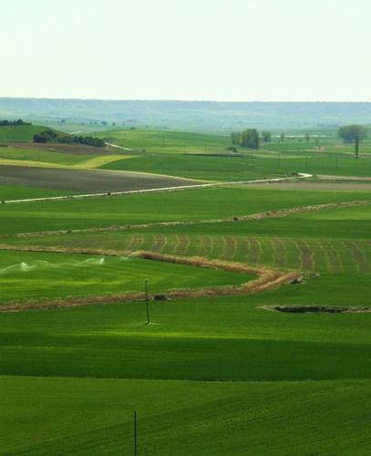 Imagen de Vertavillo mapa 34219 2 