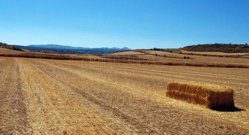 Imagen de Vianos mapa 02315 4 