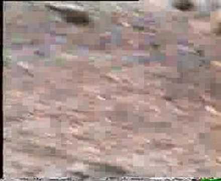 Imagen de Videmala mapa 49164 4 