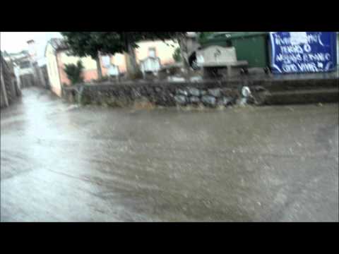 Imagen de Videmala mapa 49164 6 