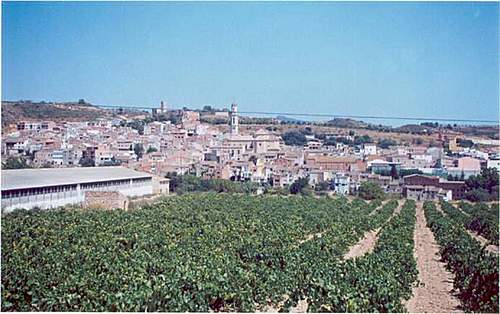 Imagen de Vila-rodona mapa 43814 2 