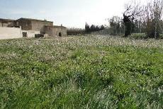 Imagen de Vila-sacra mapa 17485 2 