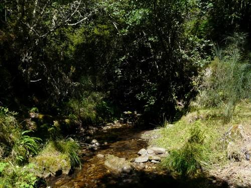 Imagen de Vilariño de Conso mapa 32557 4 