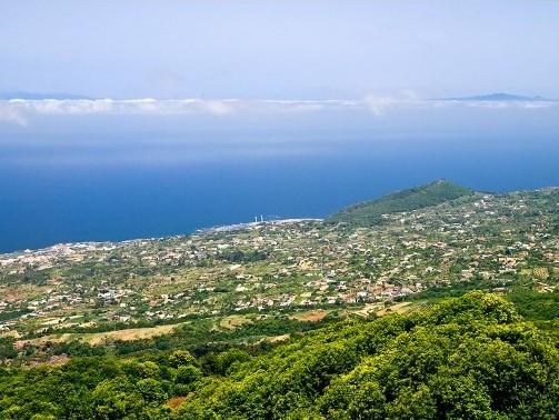 Imagen de Villa de Mazo mapa 38730 1 