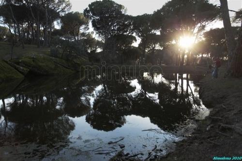 Imagen de Villa del Prado mapa 28630 2 