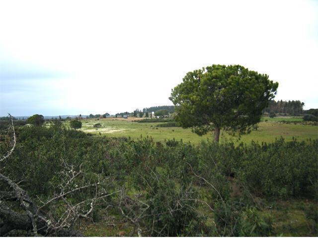 Imagen de Villablanca mapa 21590 3 