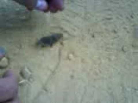 Imagen de Villabrázaro mapa 49770 5 