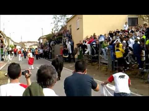 Imagen de Villabuena del Puente mapa 49820 5 