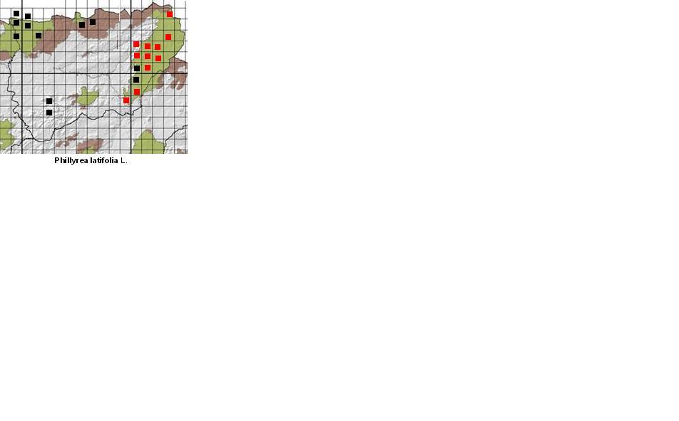 Imagen de Villacarrillo mapa 23300 6 