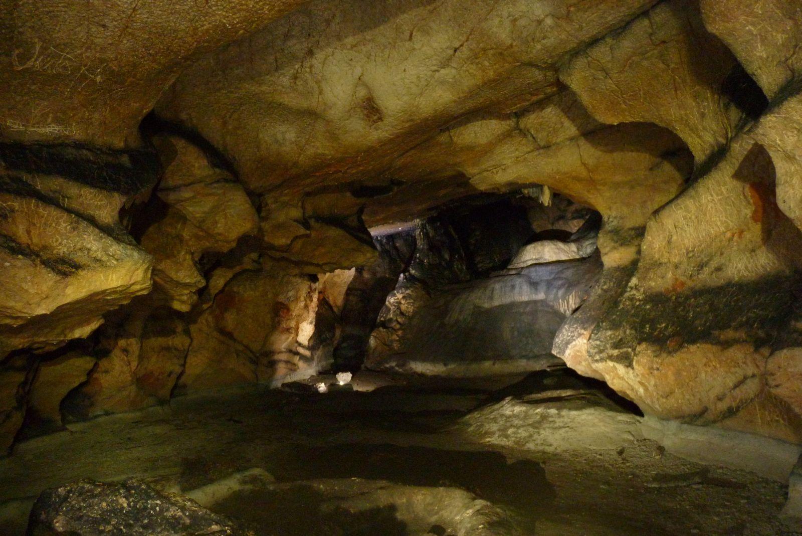 Imagen de Villaciervos mapa 42192 3 